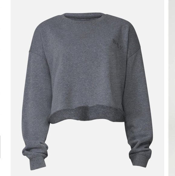 WSLY Ecosoft Cropped Crewneck Sweatshirt - Picture 1 of 5